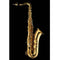 Schagerl Model 66 Bb Tenor Saxophone, with high F