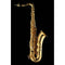 Schagerl SLTS355 Advanced Student Tenor Saxophone