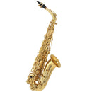 Buffet BC8101 100 Series Student Alto Saxophone.