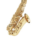 Buffet BC8101 100 Series Student Alto Saxophone.