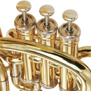 Woodchester WEU-800 3+1-Valve Euphonium