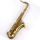 Schagerl Tenor Sax Model66 Lacquer SLT66F