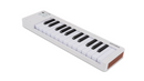 ARTURIA MICROLAB 3 25 KEY MIDI CONTROLLER