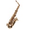 Schagerl 355 Advanced Student Eb Alto Saxophone – Lacquered Finish