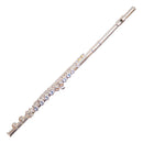 Trevor James TJ-3005EW, Student Flute C-Foot, Split E,Silver Plate