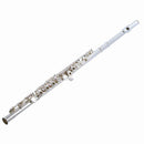 Woodchester WFL-1100 Flute Split E Open Hole