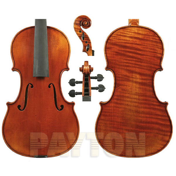 Raggetti Master Violin No.6.2-1735 Plowden Complete Outfit with Superior Set Up.