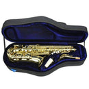 Reunion Blues RBX Alto Sax Bag