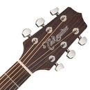 Takamine G20 Series Dreadnought AC/EL Guitar with Cutaway