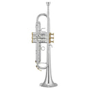 XO JTRXO1602SS4 Trumpet Bb, Monel Pistons, Silver w/ Gold Trims