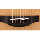 Takamine G20 Series Dreadnought AC/EL Guitar with Cutaway