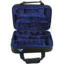 Reunion Blues RBX Clarinet Case