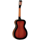 Tanglewood TWD1 Resonator Guitar