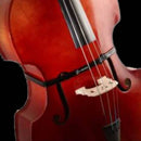 The Band Bass Pickup