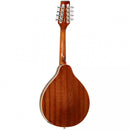 Tanglewood TWMTMH Mahogany Mandolin