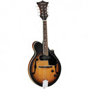 Tanglewood Mandolin Scroll Spruce Top Vintage Sunburst