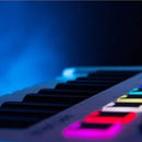 Arturia MiniLab MkII 25-Key MIDI Controller / Soft Synth