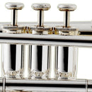 BESSON 120 NEW STANDARD Bb STUDENT CORNET, SILVER PLATED