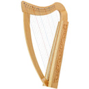 Leaning Pixie Harp - 19 String Carved w/Bag