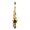 Woodchester WAS-800 Alto Saxophone High F#, Gold Lacquer, Back Pack Case +Neotec Strap