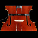 The Band Bass Pickup