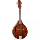 Tanglewood TWMTMH Mahogany Mandolin