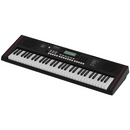 Roland E-X10 Portable Arranger Keyboard w/ Speaker System & Battery Powered Operation