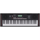 Roland E-X10 Portable Arranger Keyboard w/ Speaker System & Battery Powered Operation