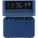LANEY PRISM-MINI AMPS