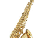 Buffet BC8101 100 Series Student Alto Saxophone.