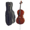 Stentor Conservatoire 4/4 Cello + Case