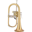 XO JFHXO1646RL Flugelhorn Bb with 10.5 mm Bore, 152 mm Rose Brass Bell, MonelPiston – Lacquered