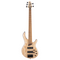 Cort B5-Element 5-String Bass - Open Pore Natural