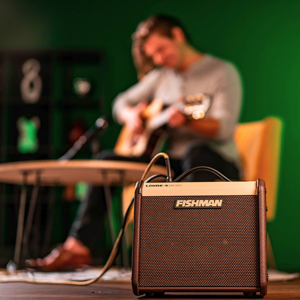 Loudbox Micro Acoustic Instrument Amplifier – Allegro Education Supplies