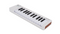 ARTURIA MICROLAB 3 25 KEY MIDI CONTROLLER