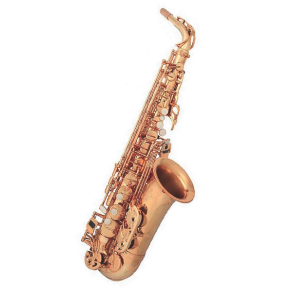 Buffet BC8401-4  400 Intermediate Alto Saxophone Brushed Brass