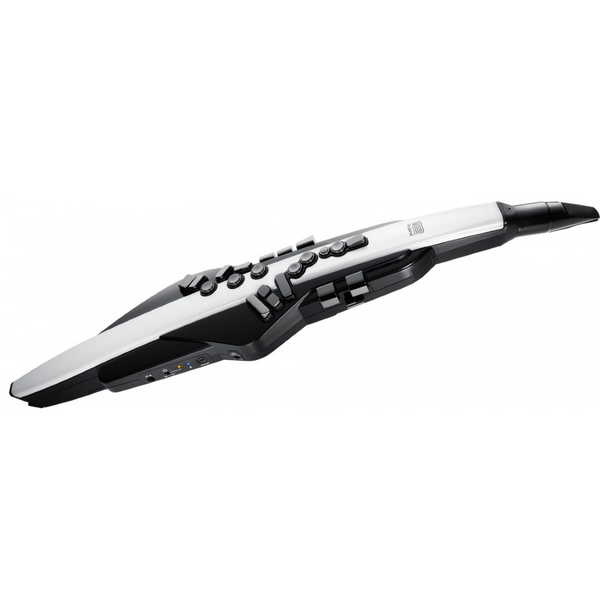 Roland Aerophone AEW-20 Digital Wind Instrument