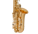 Lablanc 200 Series Student Alto Saxophone in Eb (Lacquer) inc Case