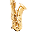 Lablanc 200 Series Student Tenor Saxophone in Bb (Lacquer) inc Case