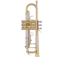 Bach 200 Series Student Trumpet Outfit in Bb (Lacquer) inc Case