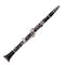 Buffet E13 Advanced Clarinet Key of A, 17 Silver Plated Keys, African Blackwood, With Double Case, 18-BC1202-2-0