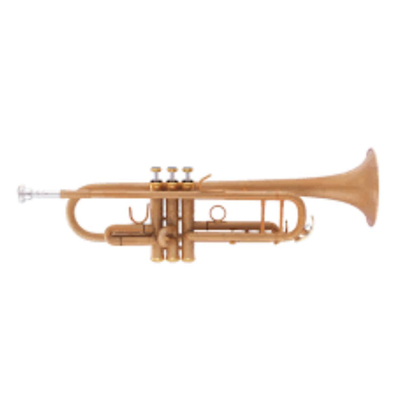 JP JP251SW Smith-Watkins Bb Trumpet - Frosted Gold