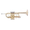 John Packer JP257SW D/Eb Trumpet - JP Smith-Watkins - Gold Lacquer