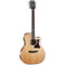 Cort GA5F Acoustic Electric Guitar - Cedar/Australian Blackwood