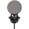 sE Electronics X1S Reflexion Filter Studio Bundle Condenser Microphone Pack