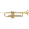 BESSON 'NEW STANDARD' SERIES STUDENT TRUMPET, GOLD LACQUER FINISH, Bb