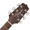 Takamine G20 Series Dreadnought Acoustic Guitar in Natural Satin Finish