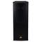 Behringer Eurolive B2520 PRO Passive Dual 15" PA Speaker
