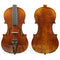 Raggetti RV7 Violin Complete Outfit with Superior Set up.
