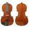 Gliga I Violin Outfit Dark Antique w/Violino Pro Set Up